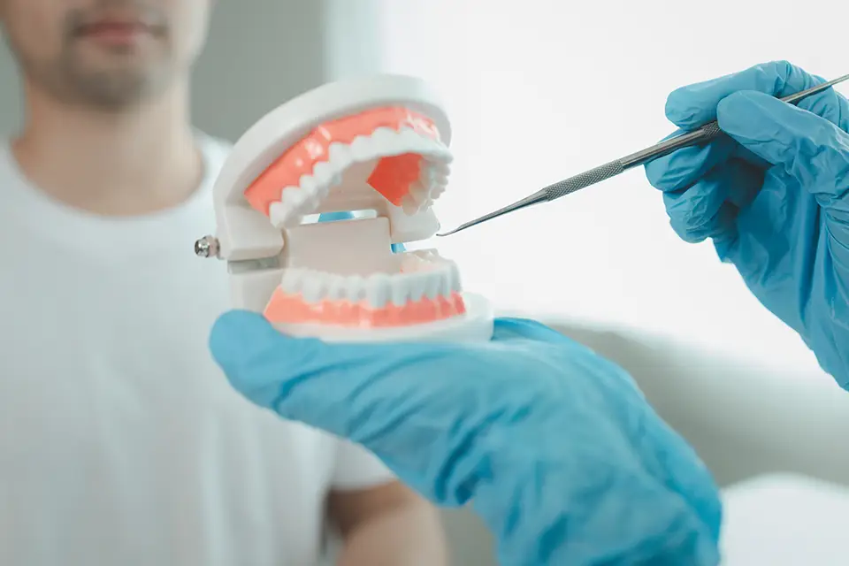 Unravelling the Genetic Connection: Exploring the Relationship Between Genetics and Dental Health